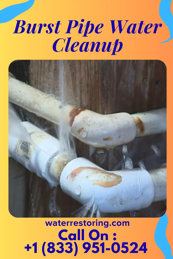 Burst Pipe Water Cleanup in Decherd, TN