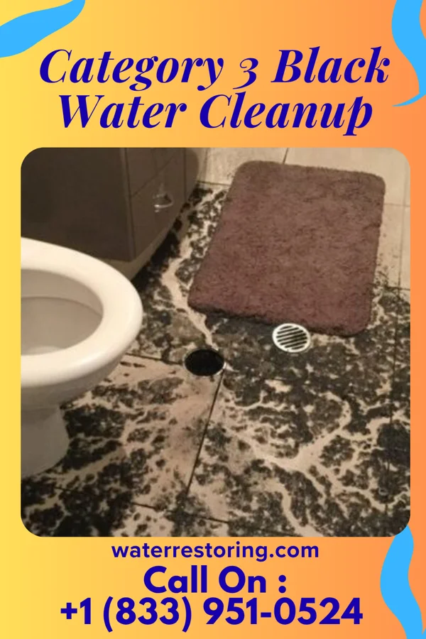 Category 3 Black Water Cleanup in Decherd, TN