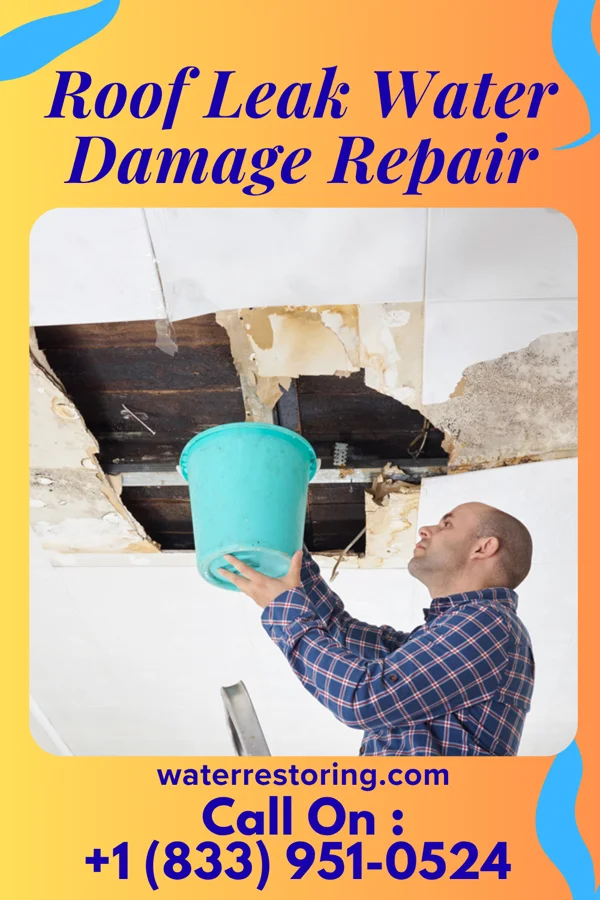 Roof Leak Water Damage Repair in Decherd, TN